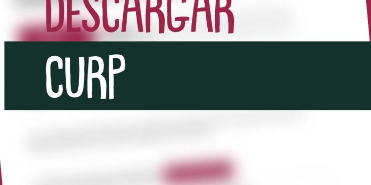 sacar-curp-imprimir